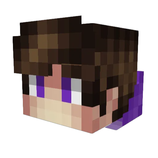Swooder Minecraft avatar head, 3D render