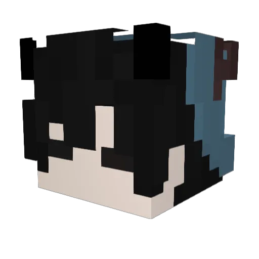Swoofi Minecraft avatar head, 3D render