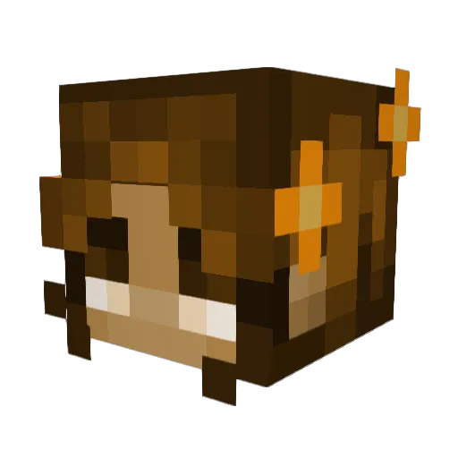Swoondar Minecraft avatar head, 3D render