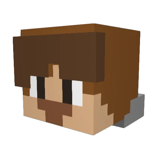 Swoop8 Minecraft avatar head, 3D render