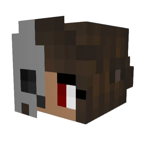 SwoopScript Minecraft avatar head, 3D render