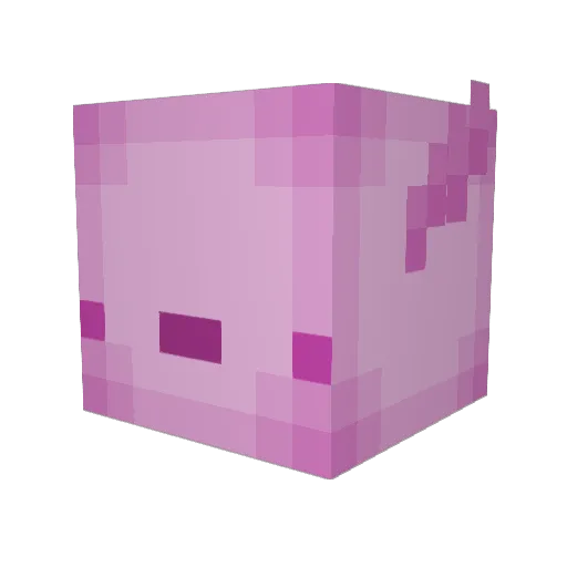 Swoozegames Minecraft avatar head, 3D render