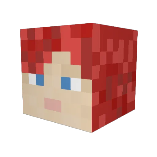 SwopBots Minecraft avatar head, 3D render