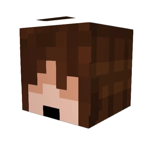 SwordDoggo2309 Minecraft avatar head, 3D render