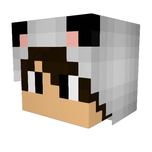 SwordFriend Minecraft avatar head, 3D render
