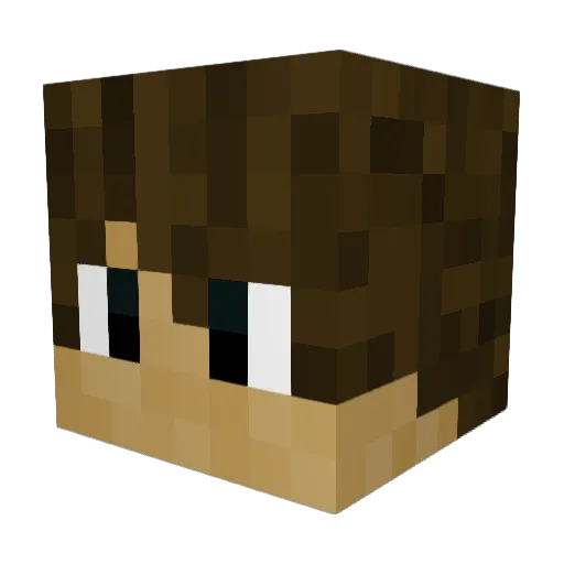 SwordNapperYT Minecraft avatar head, 3D render