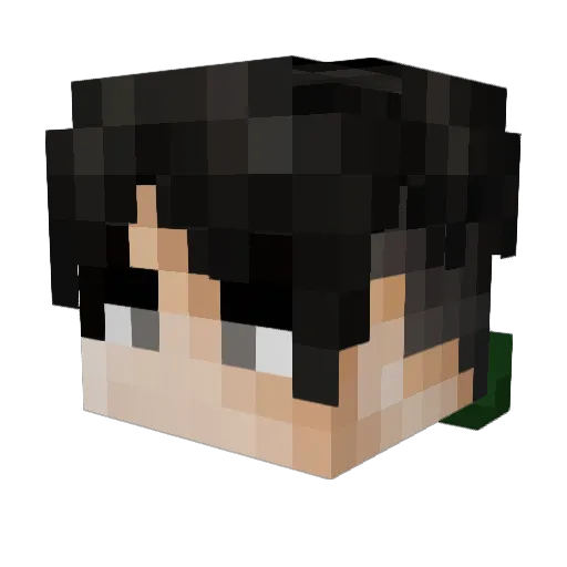 SwordNoob1 Minecraft avatar head, 3D render