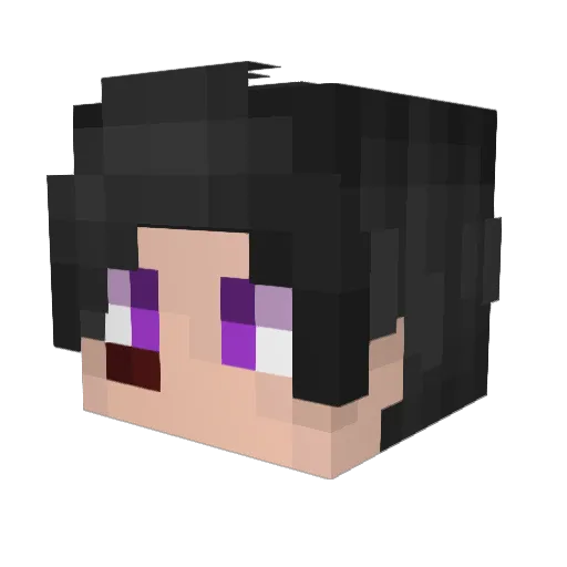 SwordOfNinjas Minecraft avatar head, 3D render