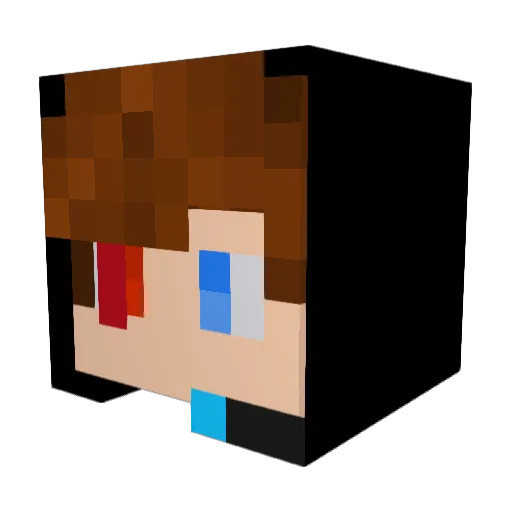 SwordShield2549 Minecraft avatar head, 3D render