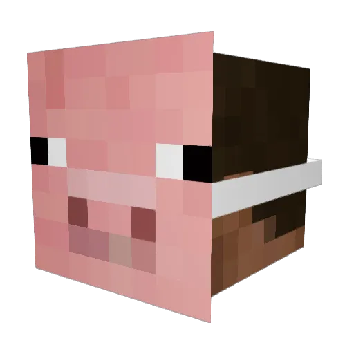 SwordSlash8 Minecraft avatar head, 3D render