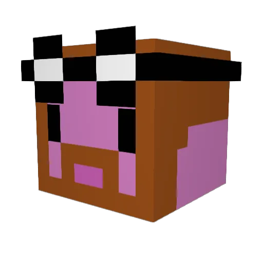 Sword_Swinger_12 Minecraft avatar head, 3D render