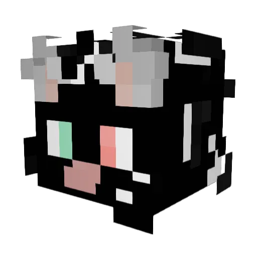 Swordfighter122 Minecraft avatar head, 3D render