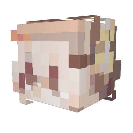 Swordfighter38 Minecraft avatar head, 3D render