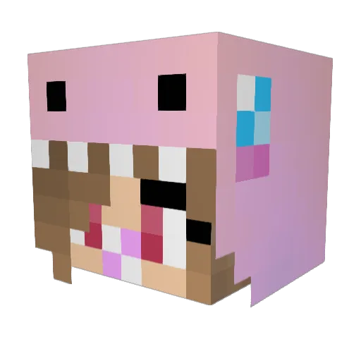 Swordstriker Minecraft avatar head, 3D render