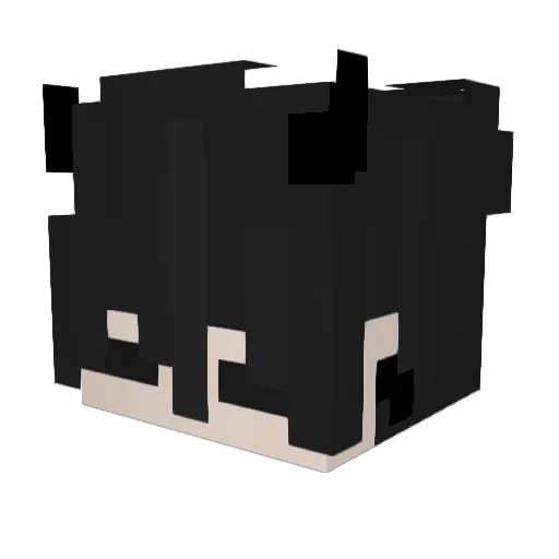 SwordzTTV Minecraft avatar head, 3D render