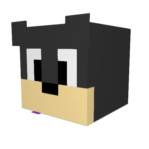 Swoshoo Minecraft avatar head, 3D render