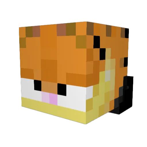 Swote47 Minecraft avatar head, 3D render