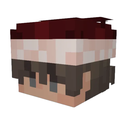 Swotrea42 Minecraft avatar head, 3D render
