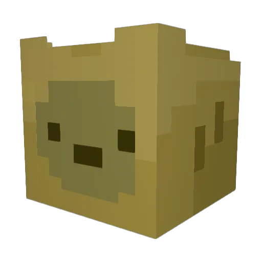 Swouggers Minecraft avatar head, 3D render