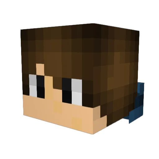 Swouse Minecraft avatar head, 3D render