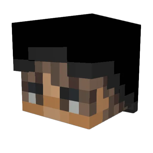 Swowabackman Minecraft avatar head, 3D render