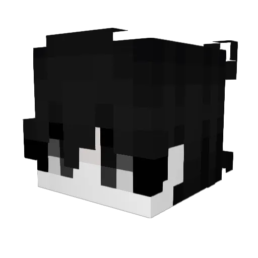 Swpw3z Minecraft avatar head, 3D render