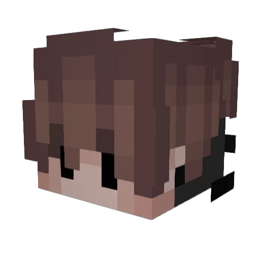 Swrdzz Minecraft avatar head, 3D render