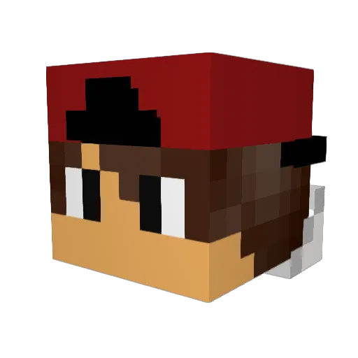 Swrmified Minecraft avatar head, 3D render