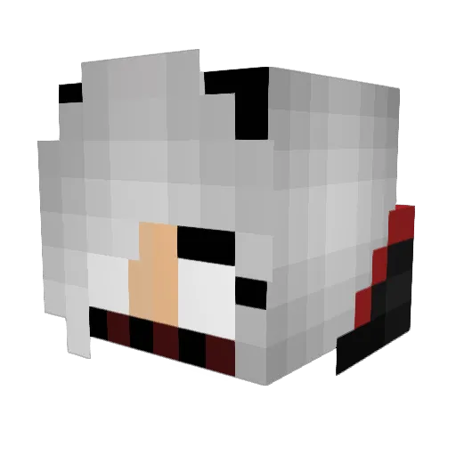 Swt_Inferno Minecraft avatar head, 3D render