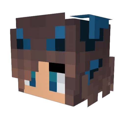 Swunkus55 Minecraft avatar head, 3D render