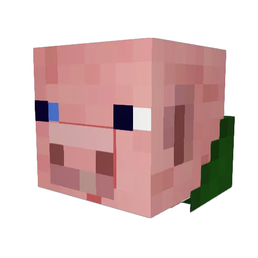 Swxne Minecraft avatar head, 3D render