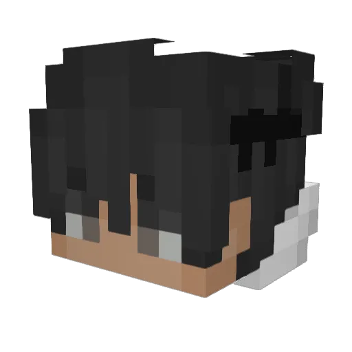 Swyin Minecraft avatar head, 3D render