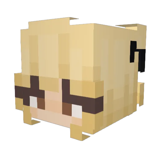 Sxby Minecraft avatar head, 3D render