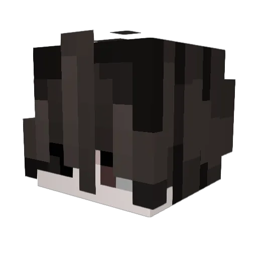 SxgeFxxlings Minecraft avatar head, 3D render
