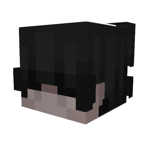 Sxni_ Minecraft avatar head, 3D render