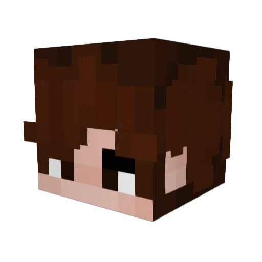 Sxvered Minecraft avatar head, 3D render