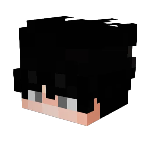 Sxwm Minecraft avatar head, 3D render