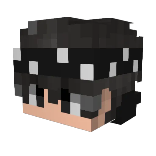 Sxxez Minecraft avatar head, 3D render