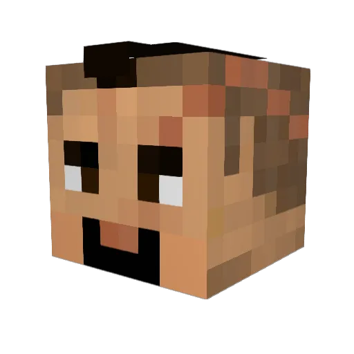 Sxxxn Minecraft avatar head, 3D render