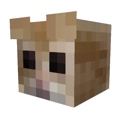 Sxzynn Minecraft avatar head, 3D render