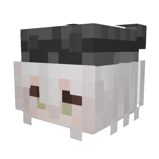 Syaethieym Minecraft avatar head, 3D render