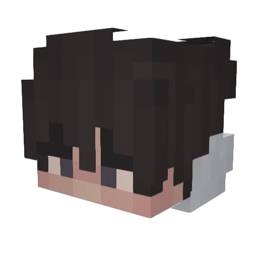 Syber_Flapy Minecraft avatar head, 3D render