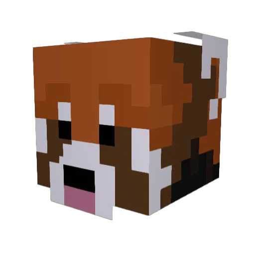 Sybo9 Minecraft avatar head, 3D render
