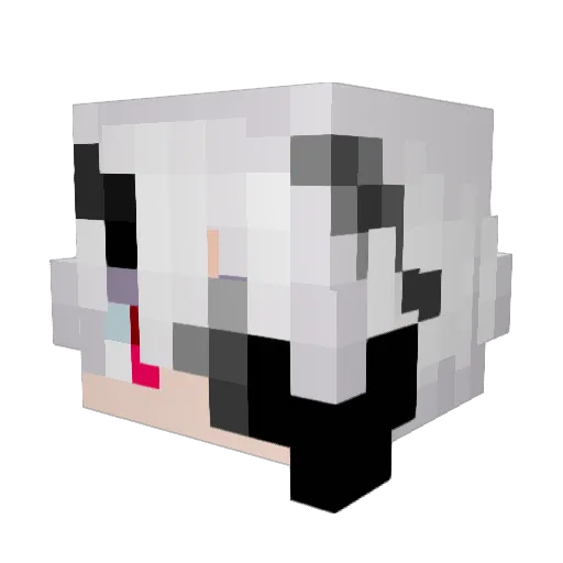 Sycho4554 Minecraft avatar head, 3D render
