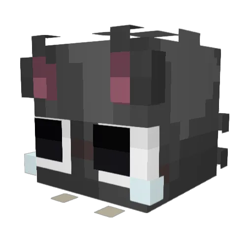 Sycks6 Minecraft avatar head, 3D render