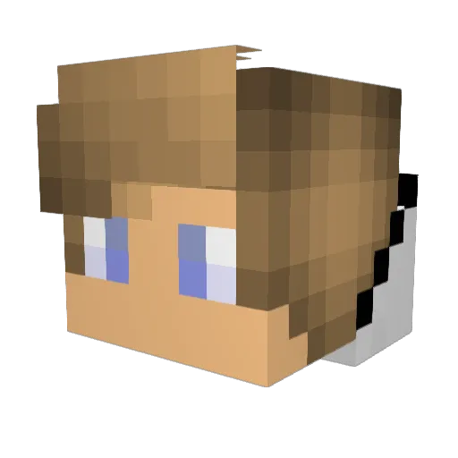 Sycon82 Minecraft avatar head, 3D render
