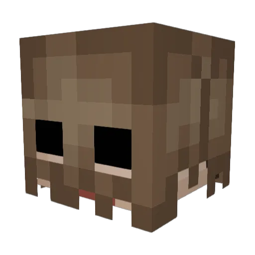 Sycrat Minecraft avatar head, 3D render