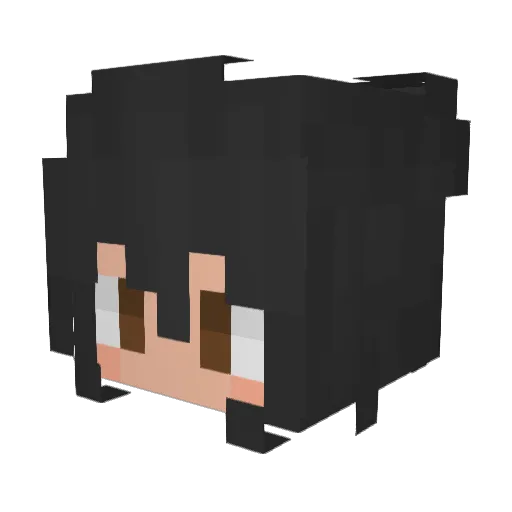 Sycraxe Minecraft avatar head, 3D render