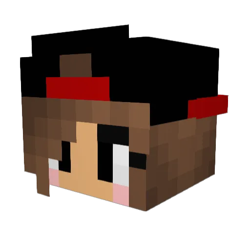 Syd1607 Minecraft avatar head, 3D render