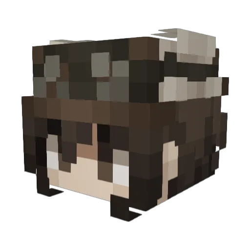 SydLav_ Minecraft avatar head, 3D render